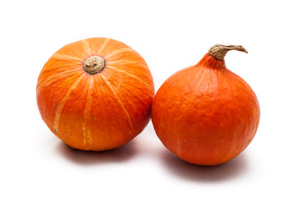 Le Potimarron